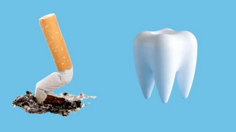 Broken cigarette beside a white tooth model